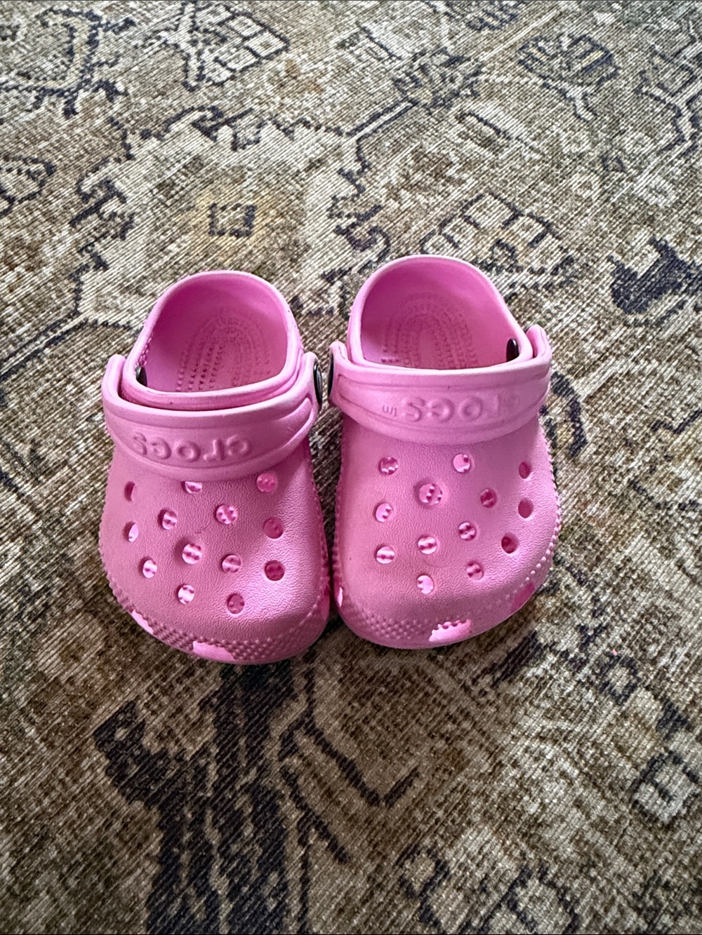 Baby crocs
